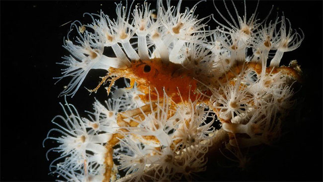Picture 4 of Nature is intense and peaceful in the Australian photography competition