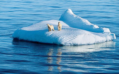 Picture 1 of Nature of the icy region
