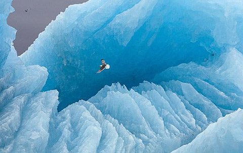 Picture 3 of Nature of the icy region
