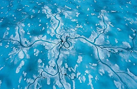 Picture 5 of Nature of the icy region
