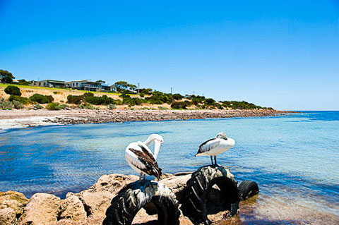 Picture 3 of Nature on Australia's Kangaroo Island