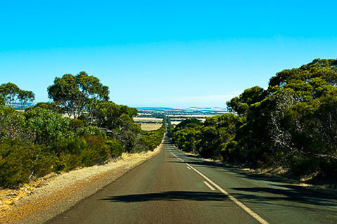 Picture 6 of Nature on Australia's Kangaroo Island