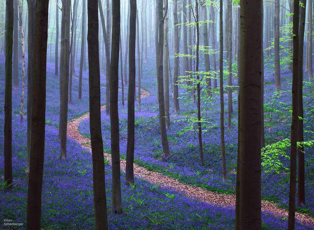 Picture 11 of Nature photos are colorful in the world