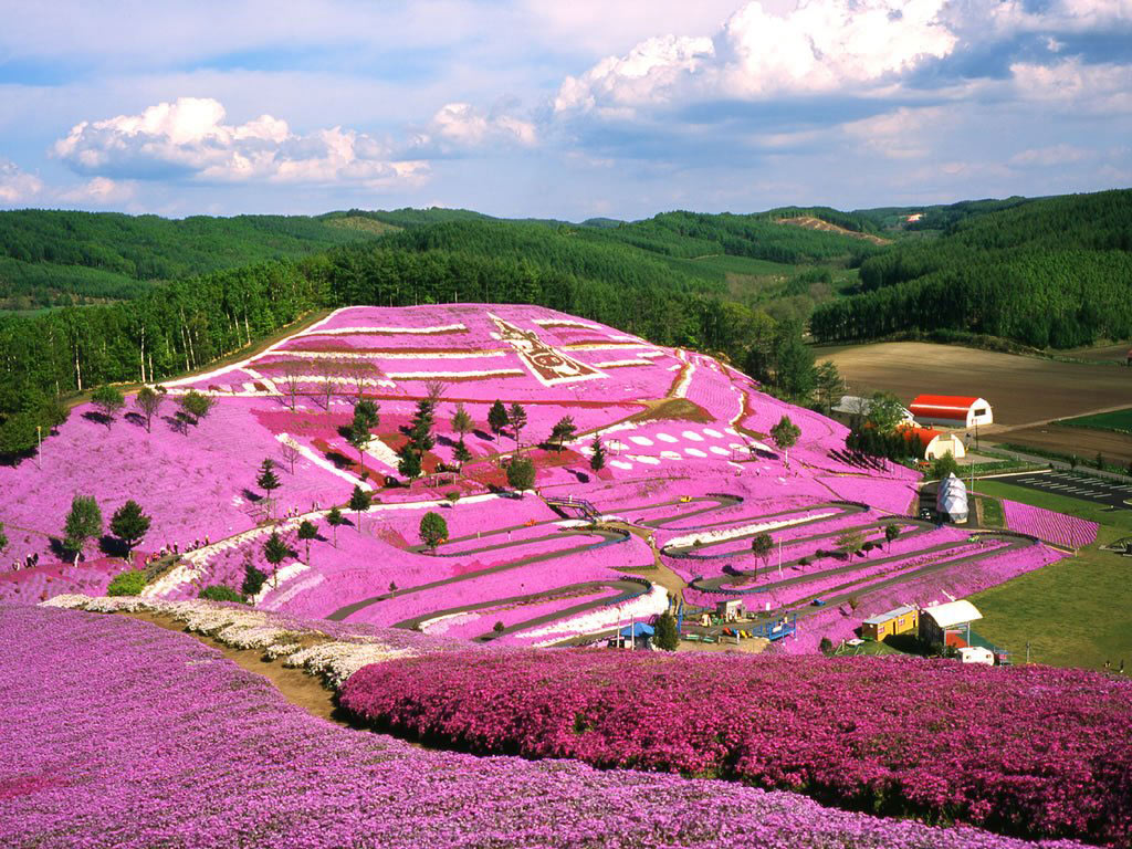Picture 12 of Nature photos are colorful in the world