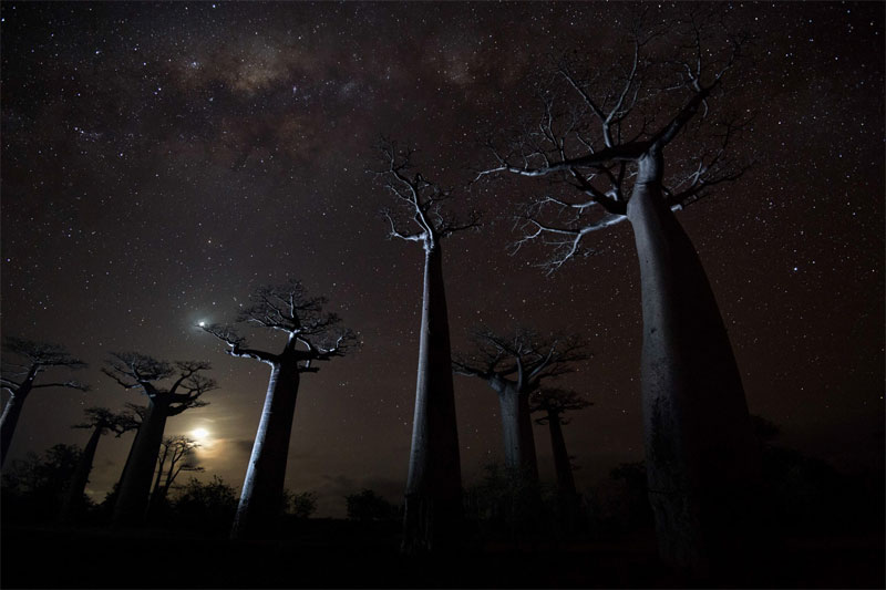 Picture 20 of Nature photos won the Big Picture award