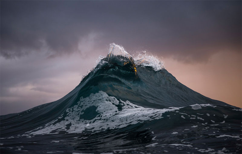 Picture 4 of Nature photos won the Big Picture award