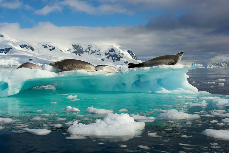 Picture 6 of Nature photos won the Big Picture award