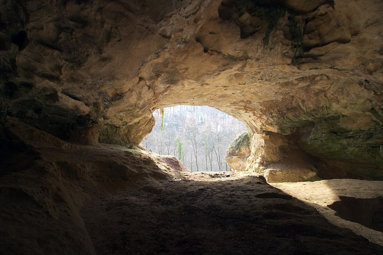 Picture 1 of Neanderthals and Sapiens do not meet at Vindia Cave, Croatia