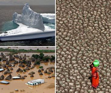 Picture 1 of Nearly one-third of species of plants and animals are in danger of extinction because of climate change