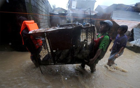 Picture 3 of Nesat killed 18 Filipinos