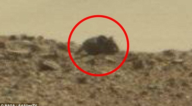 Picture 1 of Netizens talk about the giant mouse on Mars