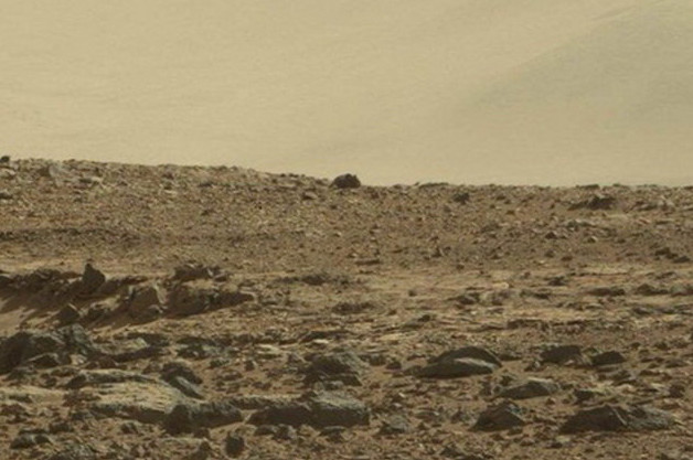 Picture 2 of Netizens talk about the giant mouse on Mars