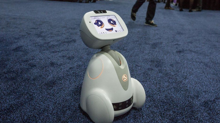 Picture 2 of New AI robots have the ability to read and share with our emotions