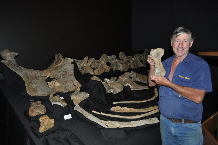 Picture 2 of New Australian herbivorous dinosaurs found 15 meters long and weighed nearly 20 tons