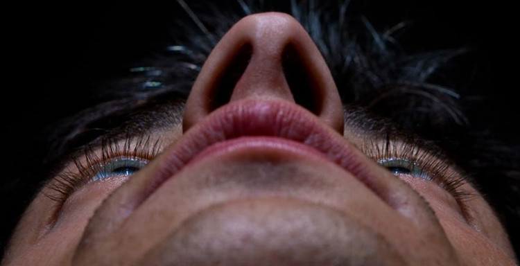 Picture 2 of New bacteria in the nostrils will lead humanity through the era of antibiotic resistance