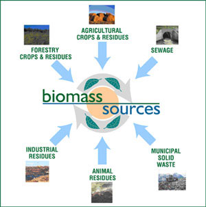 Picture 2 of New breakthrough in bioenergy