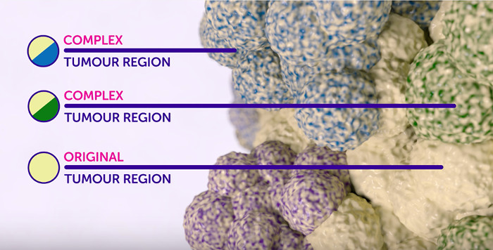 Picture 2 of New breakthrough in immunotherapy for immunotherapy