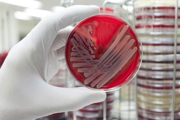 Picture 1 of New breakthrough in the fight against drug resistance