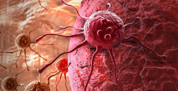 Picture 1 of New compounds prevent the development of cancer