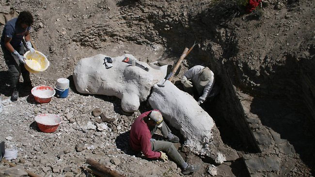 Picture 3 of New dinosaurs have tiny arms