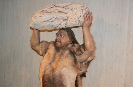Picture 1 of New discoveries about