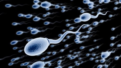 Picture 4 of New discoveries about sex