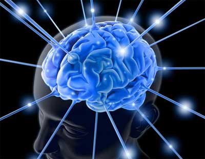 Picture 1 of New discoveries about the human body (Part 2)
