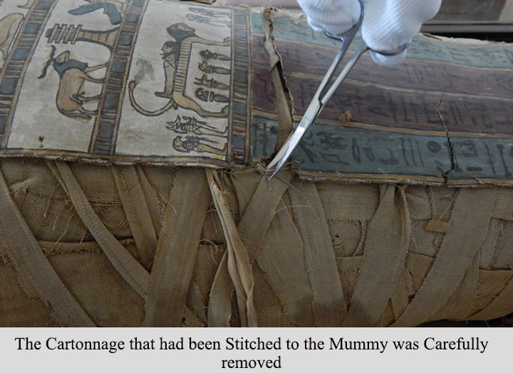 Picture 5 of New discovery about 2300-year-old Egyptian mummy