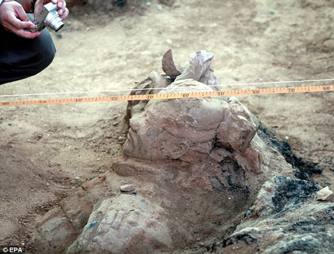 Picture 2 of New discovery about Qin Shihuang's grave