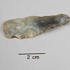 Picture 4 of New discovery at the mysterious work of Stonehenge