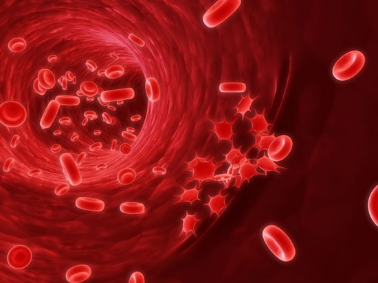 Picture 1 of New discovery of genes related to blood cancer