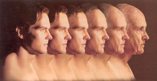 Picture 1 of New discovery of genes that cause aging and immunity