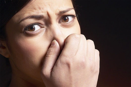 Picture 2 of New discovery of the mystery of scent in each person