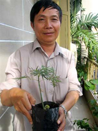 Picture 1 of New discovery of two wild plants