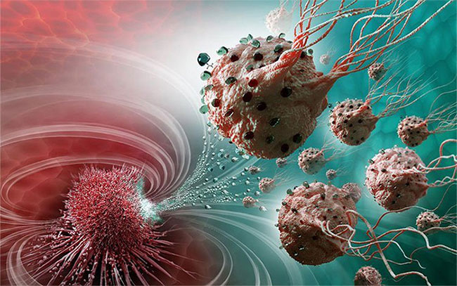 Picture 1 of New drug causes cancer to 'starve'