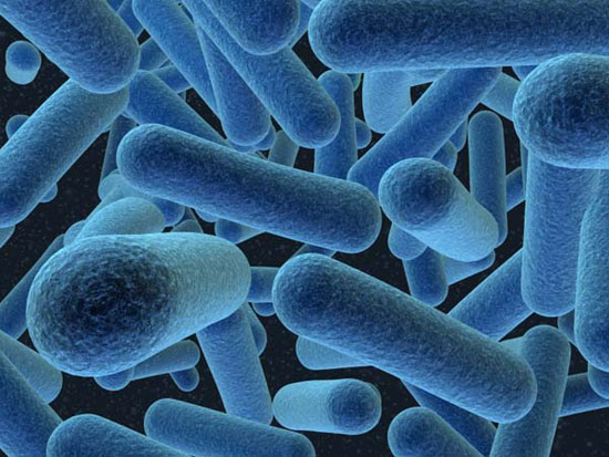Picture 1 of New drugs help prevent and kill pathogenic bacteria