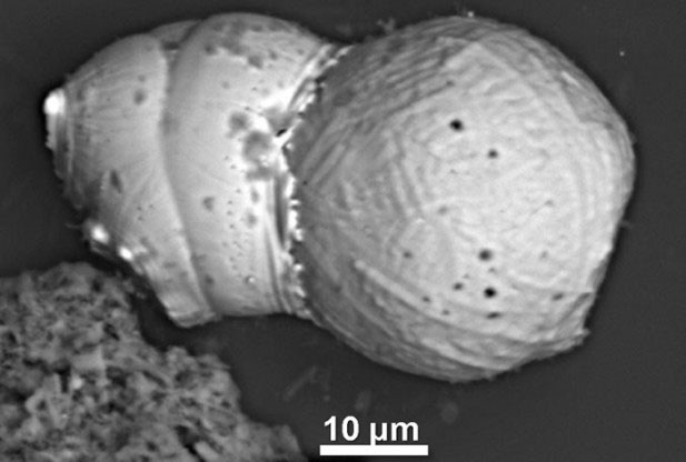 Picture 1 of New evidence confirms that meteors once crashed into the earth