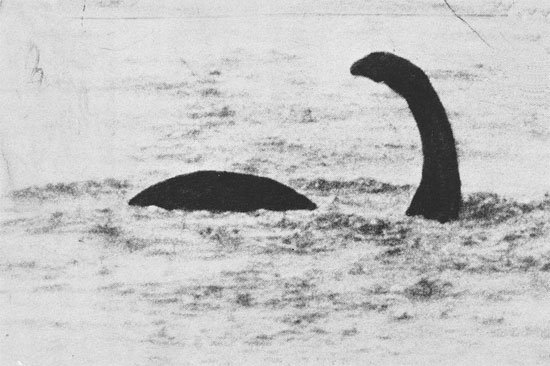 Picture 3 of New evidence of Loch Ness monster monster?