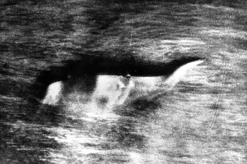 Picture 4 of New evidence of Loch Ness monster monster?