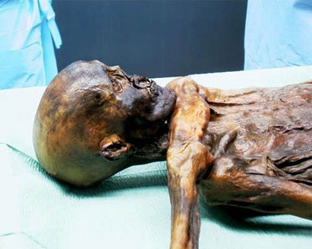 Picture 5 of New face of mummy 5,300-year-old mummy
