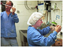 Picture 2 of New generation medicines can also be dangerous