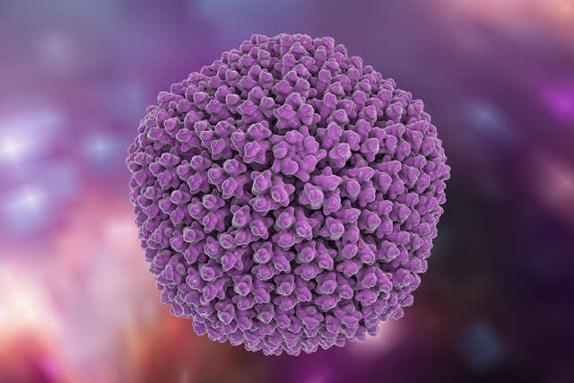 Picture 2 of New HIV treatment vaccines successfully tested on people