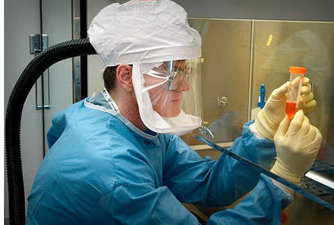 Picture 1 of New hope for A / H1N1 flu vaccine