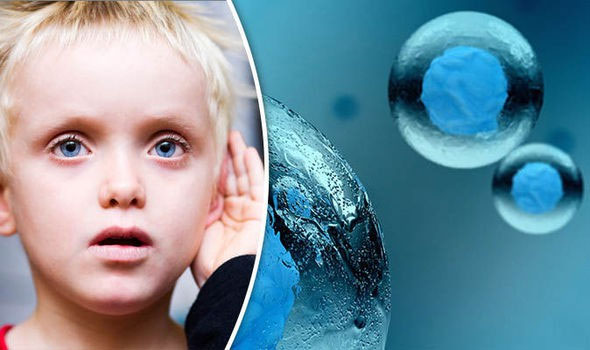 Picture 3 of New hope for hearing impaired people - a disease that can never be recovered