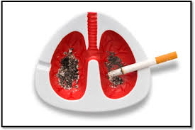 Picture 2 of New hope for lung cancer patients