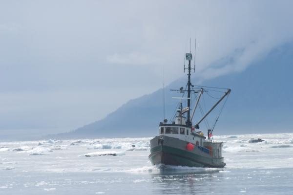 Picture 1 of New hope for marine ecosystems