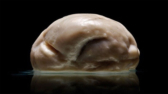 Picture 1 of New images of the