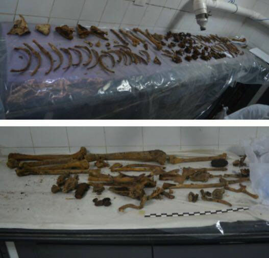 Picture 3 of New news about 3 mummies in a black coffin 2,000 years in Egypt