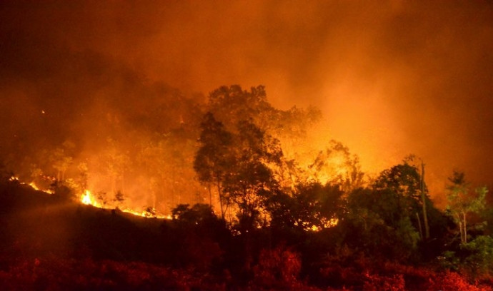 Picture 1 of New news of the biggest fire in Soc Son and Hanoi forests