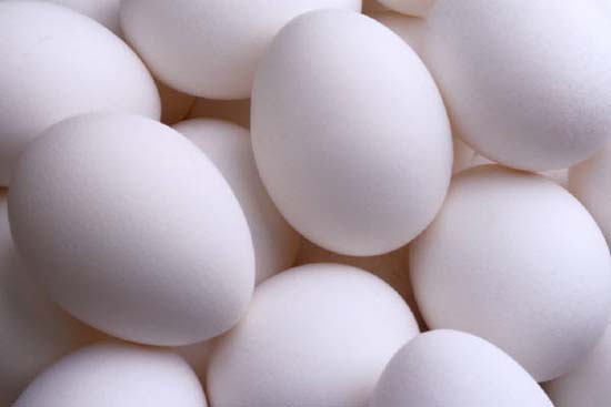 Picture 1 of New perspective: eating chicken eggs is only good?